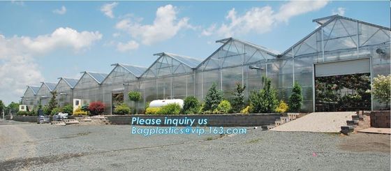 PE protective film customized green house for agriculture anti frost,Venlo Glass Agricultural Green house, SUPPLIES, PAC