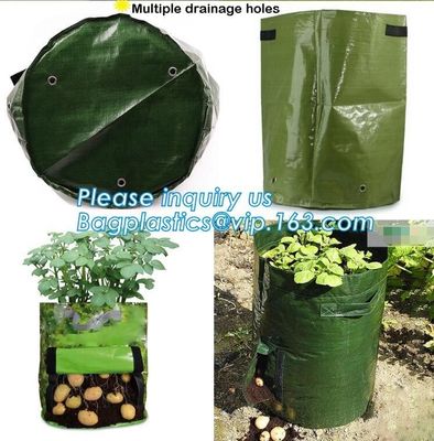 garden plant/ patato/vegetable grow bags,2gallon hotsales fabric pots grow bags for plant flower grow bag plant potato o