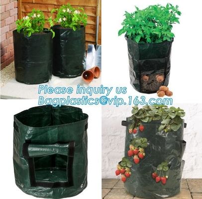 Polyethylene Durable Jumbo Tree Planter Bags, Heavy Duty Growing Bags,Effective UV Stabilized Black White Plastic Growin