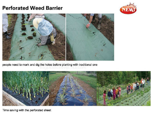 PE CLIPS, CULTIVATING BAG, 100% BIODEGRADABLE VARIOUS SIZE ARE AVAILABLE,GREEN HOUSE,POT, PLANTING, PLANTER, FILM COVER,