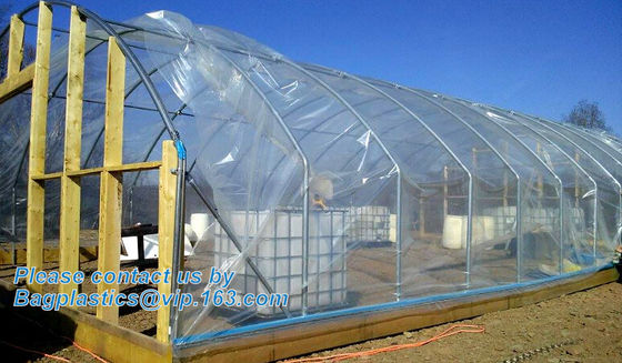 plastic film agriculture greenhouse,6 mil poly anti-uv plastic greenhouse film,Anti-fog UV resistant,mushroom,TOMATO PAC