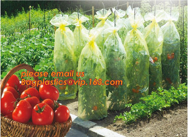 high light transmittance solar control seeding nursery greenhouse covers,100% virgin LDPE protective single layer cucumb