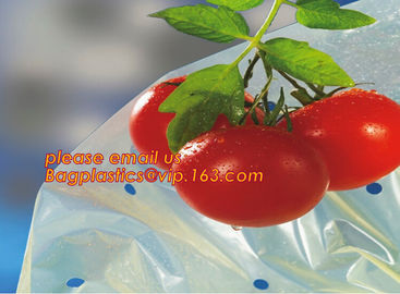 high light transmittance solar control seeding nursery greenhouse covers,100% virgin LDPE protective single layer cucumb