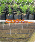 PLASTIC GROW BAGS, NURSERY PLANTER, SEED HYDROPONICS, FLOWER POTS, BLACK Grow Bags, Waterproof Garden Patio Plant Flower