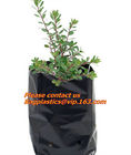 garden bags, grow bags, hanging plant bags, planters, LDPE plant, grow, nursery bags, Grow Bags Hydroponics Soil Garden