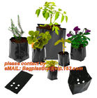 Poly Planter, Grow Bag, garden bags, grow bags, hanging plant bags, planters, Plastic planting bags, pot, plant grow bag