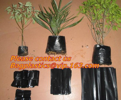 Poly Planter, Grow Bag, garden bags, grow bags, hanging plant bags, planters, Plastic planting bags, pot, plant grow bag
