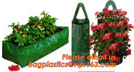 Plastic Hanging Growing Strawberry Bags Planter ,Hanging Strawberry Planter Bags,Strawberry Planter