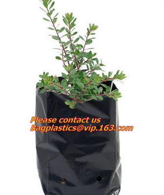 Horticulture, Grow Bags, Hydroponics, Soil, Garden, Planter, Nursery, Pots Bag, planters
