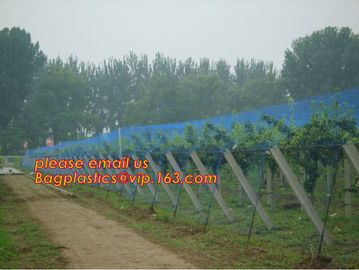 Hot Selling Greenhouse Anti Insect Netting with Competitive Price,virgin hdpe anti insect net for agriculture, BAGPLASTI