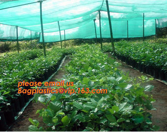 100% new HDPE insect mesh / anti bird net for apple trees,greenhouse anti insect net for plant, agriculture net Anti-ins