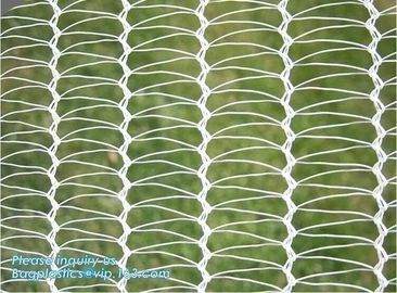 Garden plant protect cover anti insect net/agricultural plastic mesh insect proof net,agricultural wide varieties frost