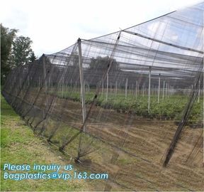 Monofilament Knitted 100% virgin HDPE Material Transparent Anti hail Netting,Polyester fiberglass anti insect net for in