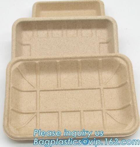 Dishes &amp; Plates Dinnerware Blister packaging Resturant Disposable Food Serving Tray food disposable container