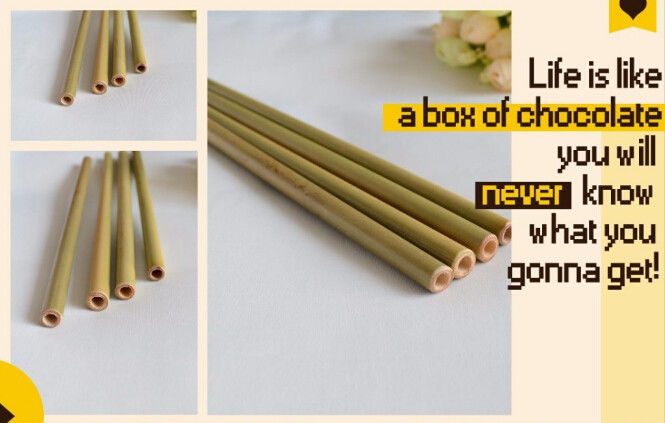 Eco Friendly Factory Directly Sales Customized Logo Bamboo Straw With Brush 100 % Natural Bamboo Straw bagease bagpac