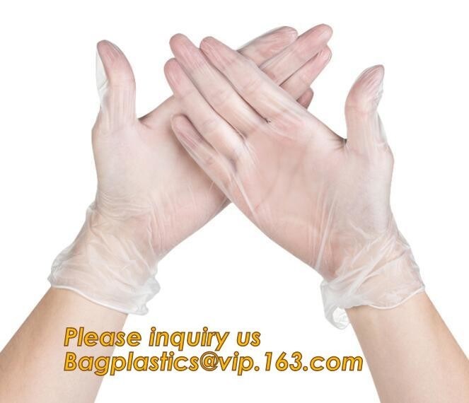 Medical Exam Use Disposable Powder Free Vinyl Gloves/Non Latex Vinyl Gloves/PVC Gloves,Disposable PVC Gloves Powder Free