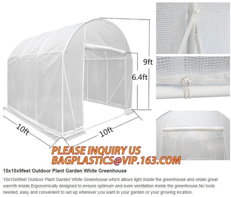 Easy install greenhouse tomato single-span Plastic Film Green House,Low cost garden green houses for plating, PACKAGES