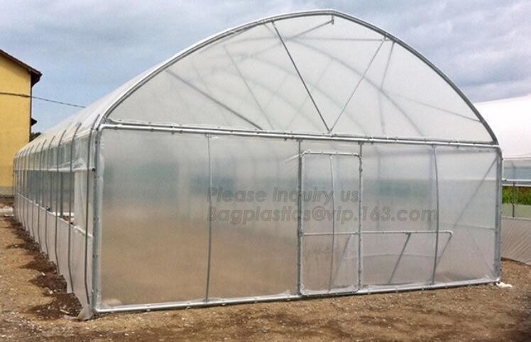 Garden Walk In 4 Shelves& Reinforced PE Cover green houses,Agriculture Farm Commercial Plastic PE Film Multi Spans Green