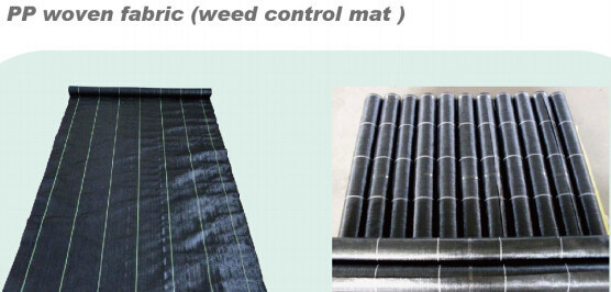 FILM IN BIG ROLL,NON-SLIPPING FILM,PP WOVEN FABRIC WEED CONTROL MAT,BUILDING FILM,COVER FILM, COMPOSTABLE, BIODEGRADABLE
