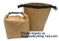 Recycle Food Grade Reusable Insulated Cooler Brown Tyvek Paper Lunch Bag With Magnetic Closure, Food Delivery Tyvek Cool